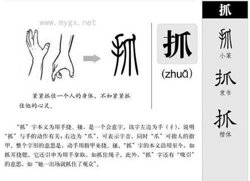 抓的拼音推的拼音