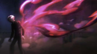 黛妃小说推荐娇宠贵女的主要内容