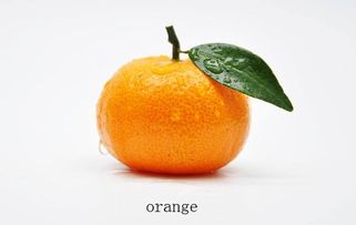 橘子英语(橘子英语复数)