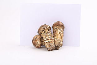 新鲜松茸的作用及食用方法