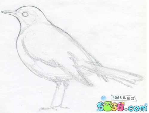 如何用铅笔画画一些简单的小动物