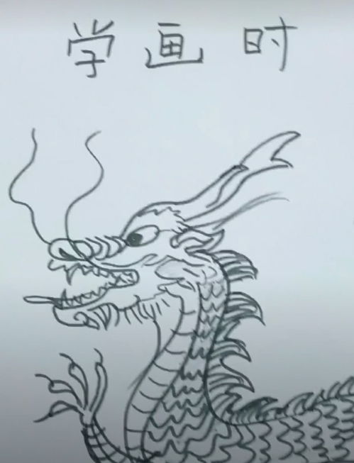 美术画龙美术画龙素描