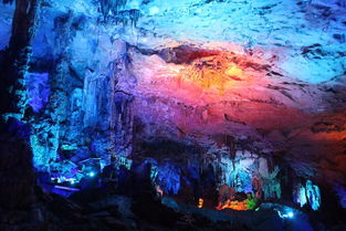 抖音水晶龙宫怎么获得