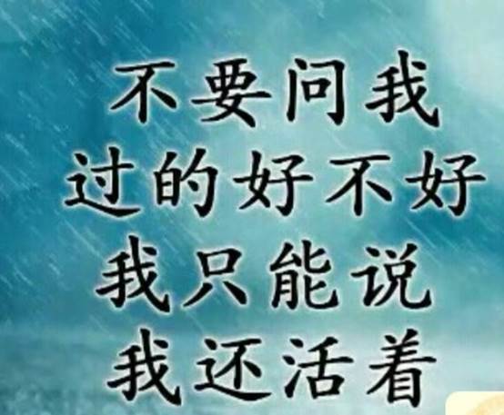 活着的意义活着的意义作文