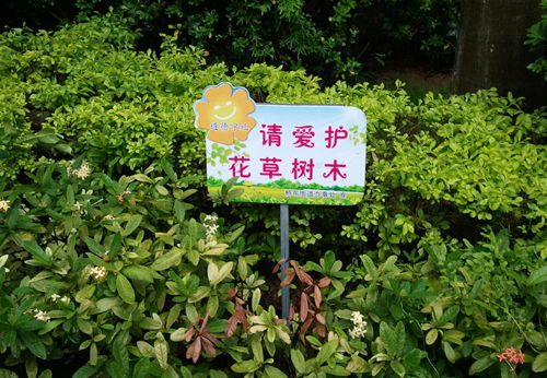 保护树木的宣传语保护树木的宣传语8字