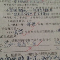 二月春风似剪刀前面一句是什么