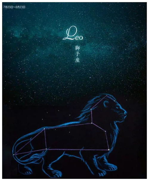 哪个星座男喜欢狮子女