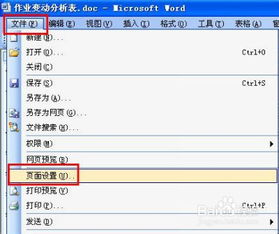 word文档空白页删不掉怎么办