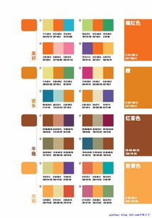 橙色搭配什么颜色才显得好看?