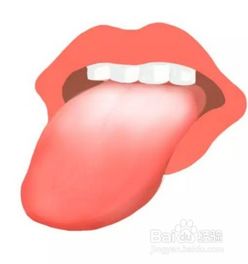 经常转舌头有什么好处
