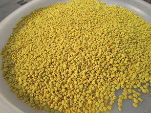 蜂花粉有什么功效?