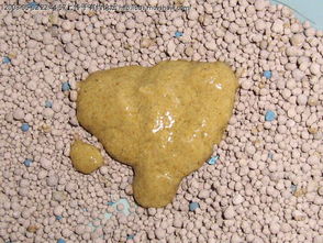 天天拉肚子大便不成形大便老是不成形溏稀