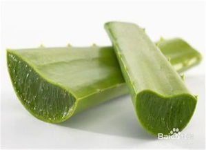 新鲜芦荟的用法