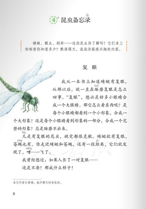 昆虫备忘录昆虫备忘录仿写