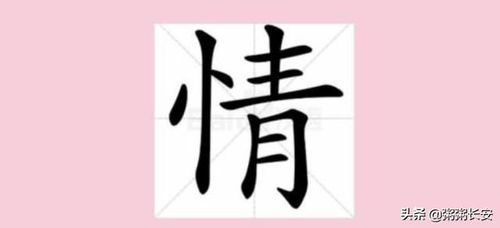 情字的正确笔顺