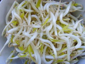 绿豆芽怎么发又粗又快绿豆芽怎么发又粗又快不长根