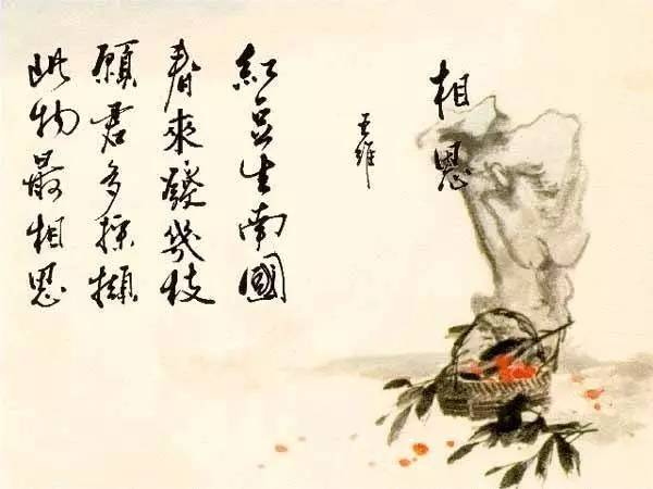 红豆王维红豆王维的诗