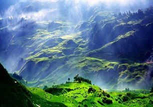 丽江古城海拔是多少?