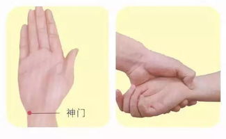 神门穴位的位子