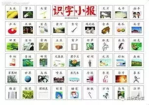 shi同音字开头的四字成语