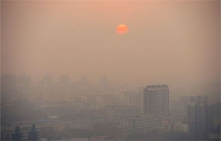 雾霾对人体,有什么危害?