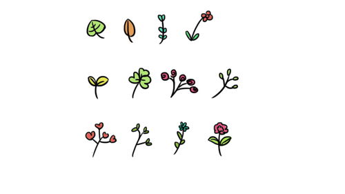 目录边框装饰怎么画