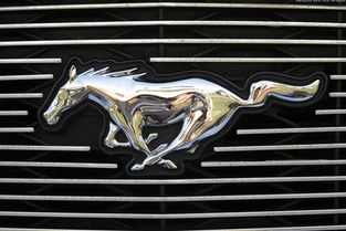 车标是一匹马的是什么车?