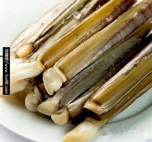 缢蛏怎么读音缢蛏怎么读