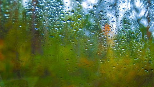 一场秋雨一场寒的下一句是什么?