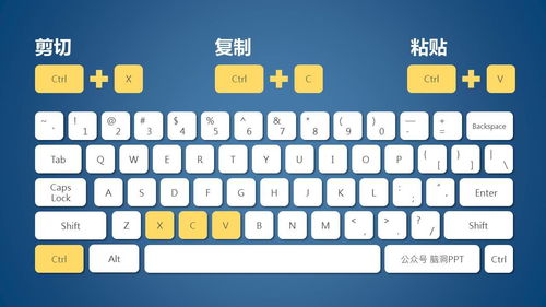 wps剪切快捷键ctrl加什么