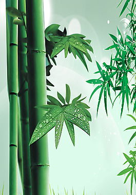 竹子象征着什么意义?