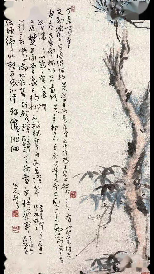 岁寒三友分别指什么