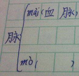 脉mo组词脉mo组词两字