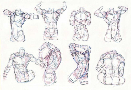 如何自学人体画