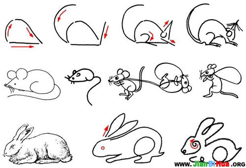 一笔画小鱼一笔画小鱼简笔画