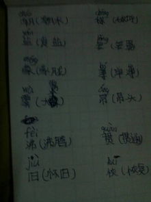 瓣的拼音和组词怎么写?