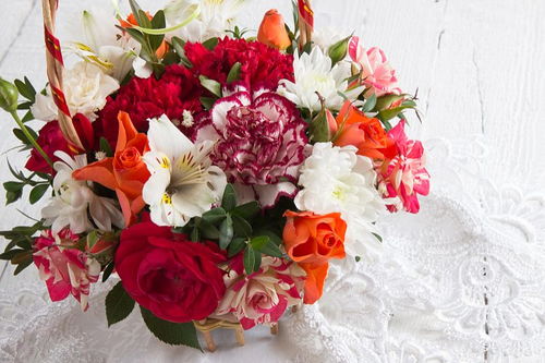 康乃馨代表的寓意是什么?