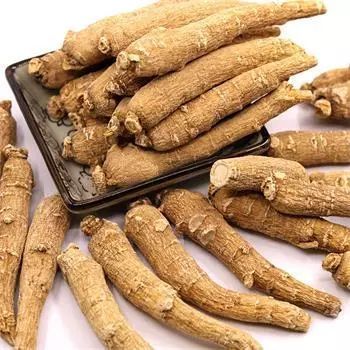 西洋参和花旗参有什么区别?