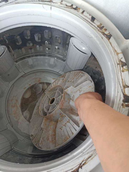 洗衣机清洗