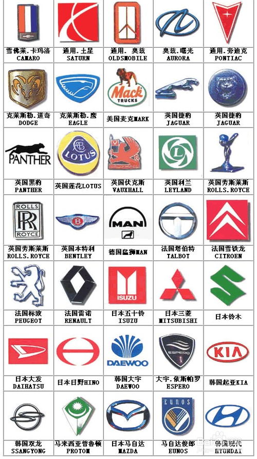 车牌认识标志大全车牌有哪些标志大全