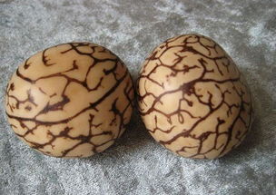 市场上的象牙果手串有假的吗怎么盘玩?