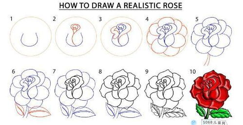 画玫瑰花的简笔画(画玫瑰花的简笔画漂亮)_竞价网