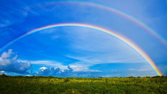 弯弯的彩虹像什么弯弯的彩虹像什么一年级语文