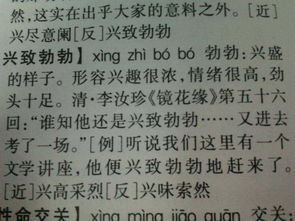 ˸߲ҵĽ_˸߲ҵĽʺͷ_˸߲ҵĽ