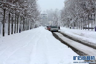 什么样的大雪(加名词)?