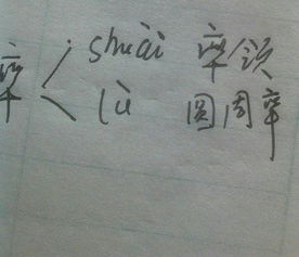 率组词多音字组词