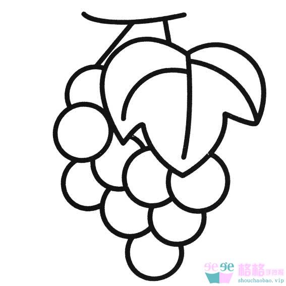 葡萄怎么画qq红包