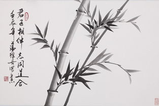 竹子象征什么