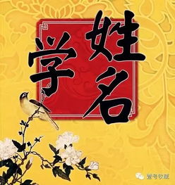 喆字的五行属什么?