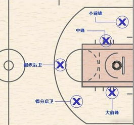 篮球位置介绍和详解篮球位置介绍